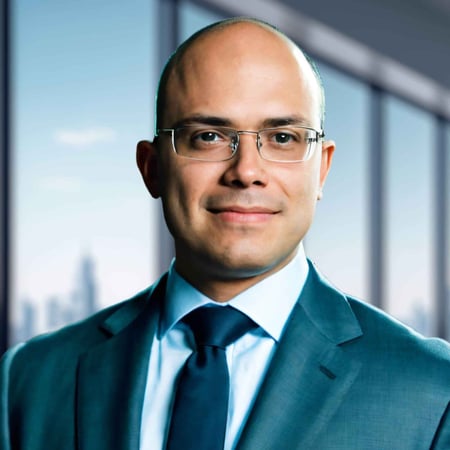 Yamil Tolosa tax advisor directory image